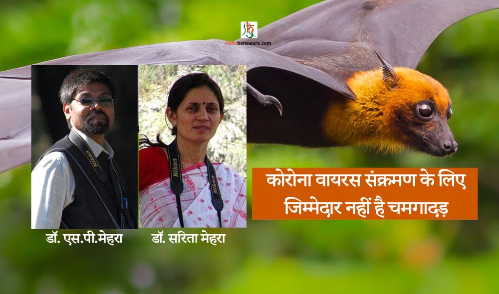 कोरोना वायरस संक्रमण के लिए जिम्मेदार नहीं है चमगादड़ - डॉ. एस.पी.मेहरा
