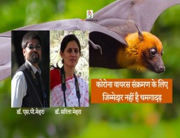 कोरोना वायरस संक्रमण के लिए जिम्मेदार नहीं है चमगादड़ - डॉ. एस.पी.मेहरा